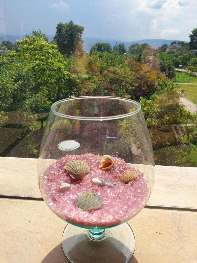 New Apartment At A Great Location ブラゴエヴグラト エクステリア 写真